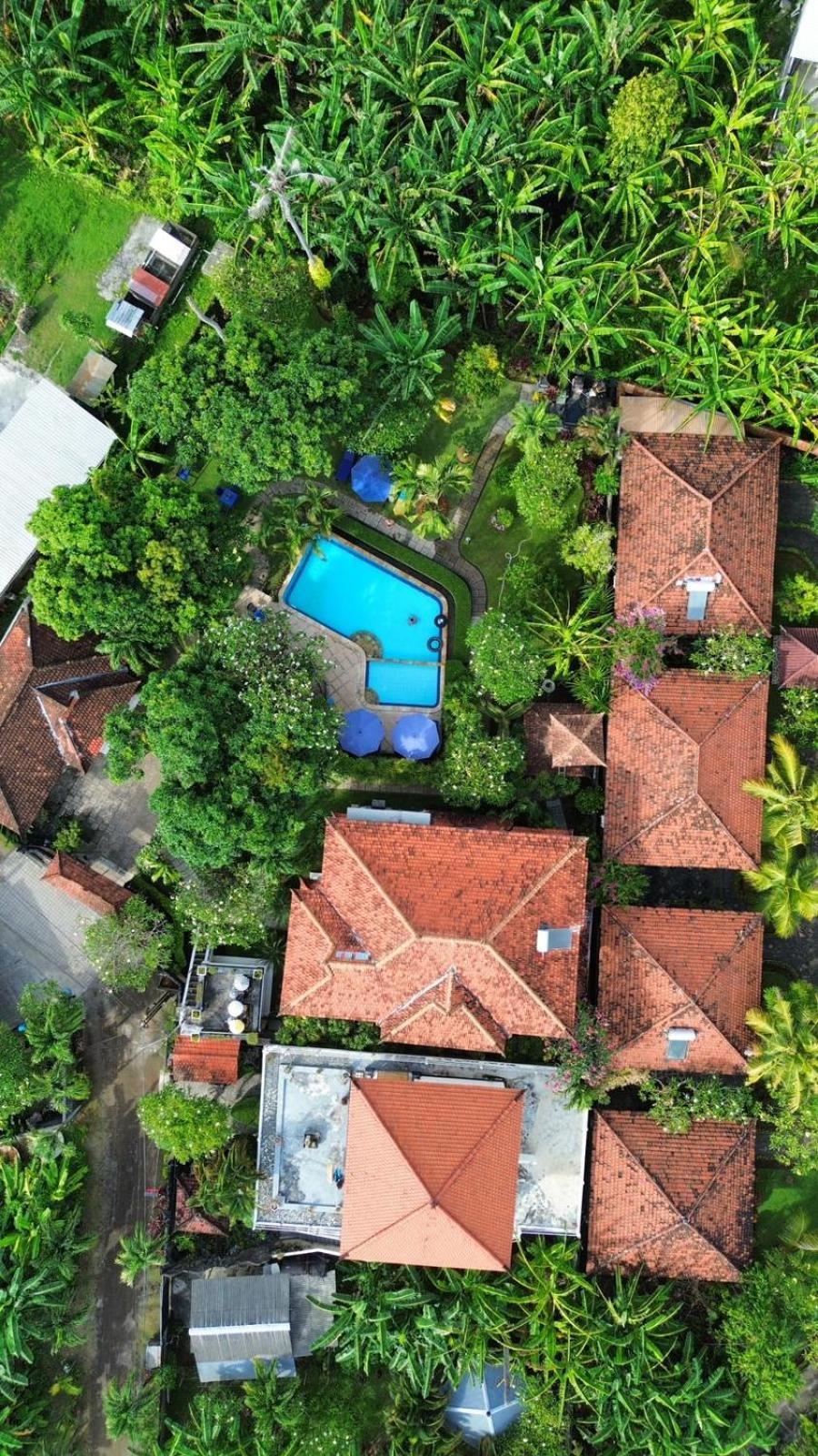 Balinda Rooms & Villa Lovina  Exterior photo